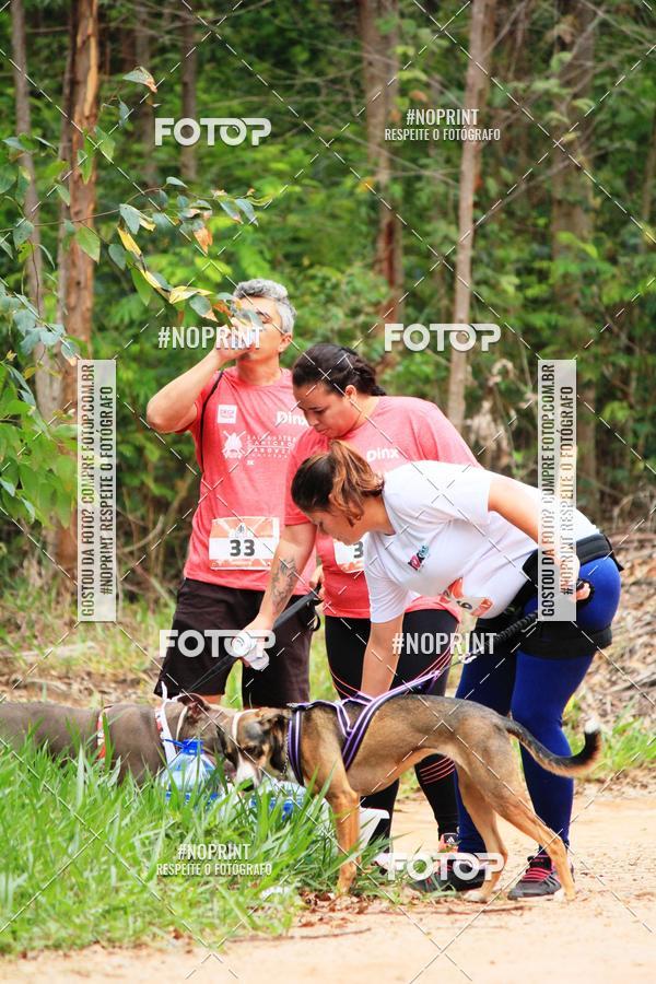 Buy your photos of the eventKaluan� Trail e Canicross - Irisphoto on Fotop