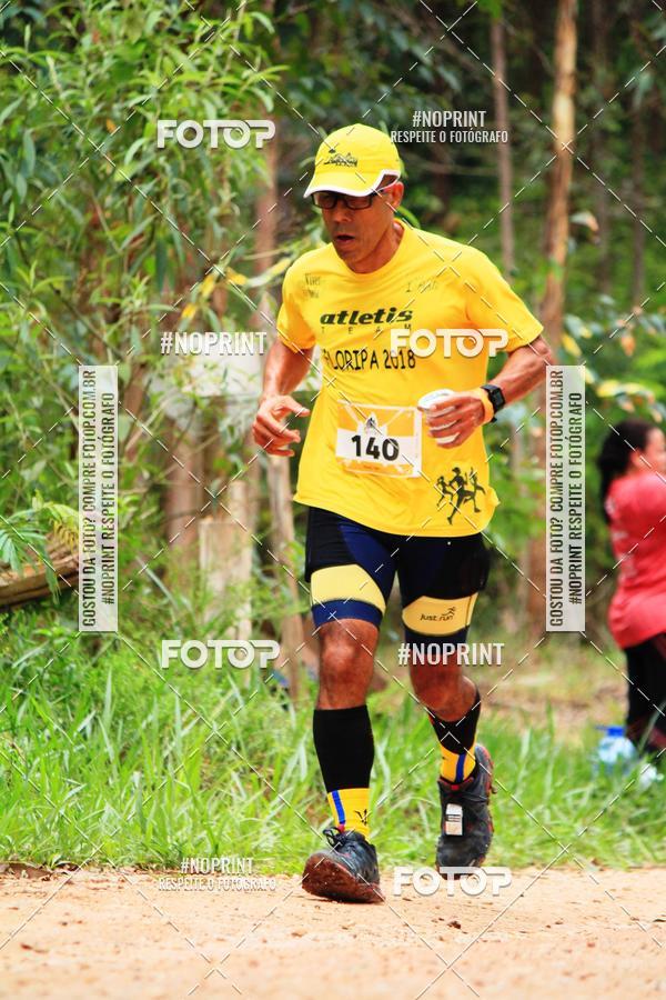 Buy your photos of the eventKaluan� Trail e Canicross - Irisphoto on Fotop