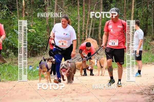 Buy your photos of the eventKaluan� Trail e Canicross - Irisphoto on Fotop