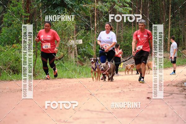 Buy your photos of the eventKaluan� Trail e Canicross - Irisphoto on Fotop