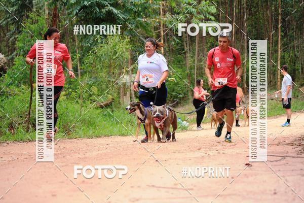 Buy your photos of the eventKaluan� Trail e Canicross - Irisphoto on Fotop