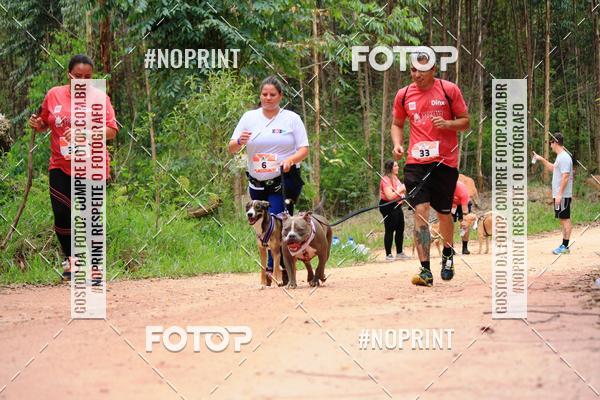 Buy your photos of the eventKaluan� Trail e Canicross - Irisphoto on Fotop