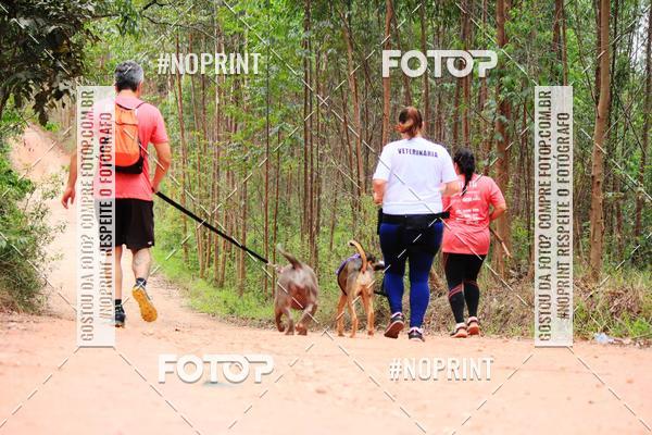 Buy your photos of the eventKaluan� Trail e Canicross - Irisphoto on Fotop