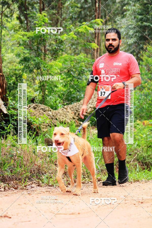 Buy your photos of the eventKaluan� Trail e Canicross - Irisphoto on Fotop