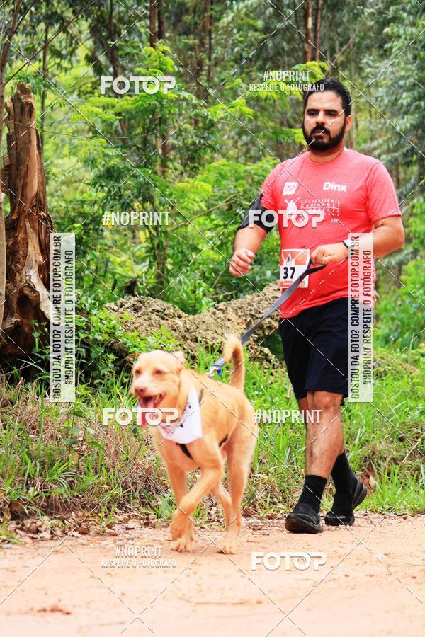 Buy your photos of the eventKaluan� Trail e Canicross - Irisphoto on Fotop