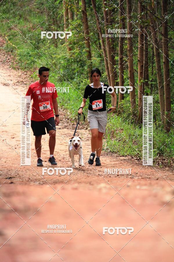 Compra tus fotos del eventoKaluan� Trail e Canicross - Irisphoto En Fotop