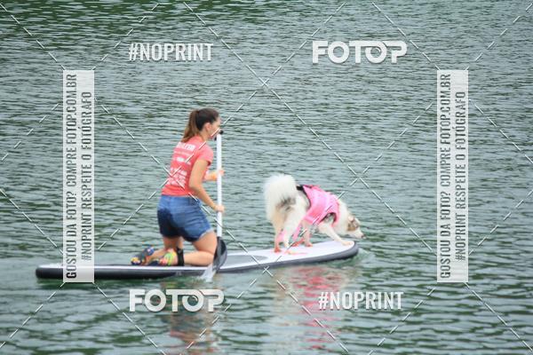 Compra tus fotos del eventoKaluan� Trail e Canicross - Irisphoto En Fotop