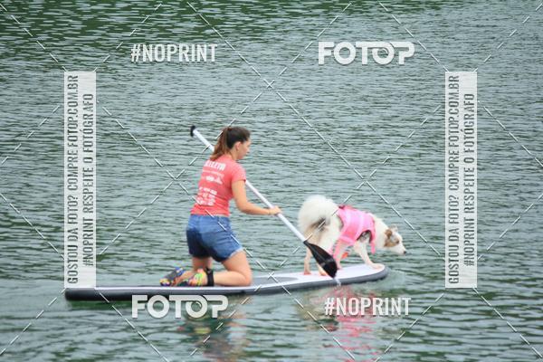 Compra tus fotos del eventoKaluan� Trail e Canicross - Irisphoto En Fotop