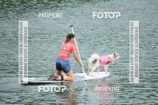 Compra tus fotos del eventoKaluan� Trail e Canicross - Irisphoto En Fotop