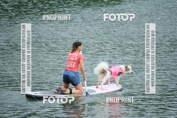 Compra tus fotos del eventoKaluan� Trail e Canicross - Irisphoto En Fotop