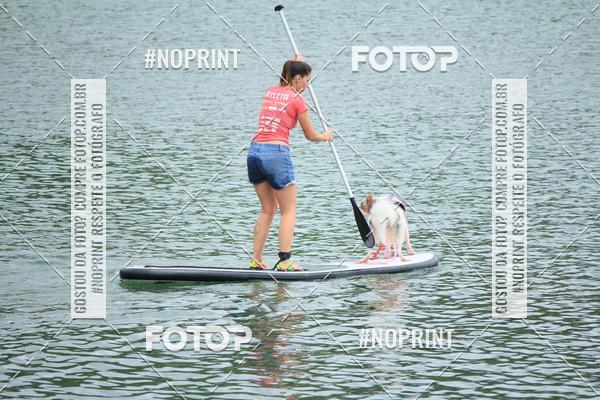 Compra tus fotos del eventoKaluan� Trail e Canicross - Irisphoto En Fotop