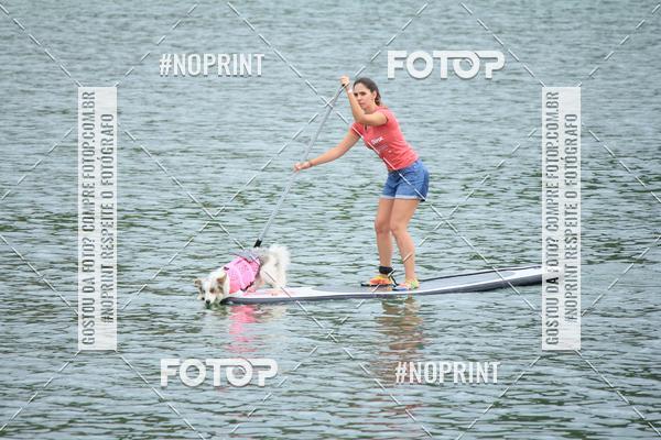 Compra tus fotos del eventoKaluan� Trail e Canicross - Irisphoto En Fotop