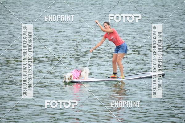 Compra tus fotos del eventoKaluan� Trail e Canicross - Irisphoto En Fotop