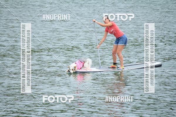 Compra tus fotos del eventoKaluan� Trail e Canicross - Irisphoto En Fotop