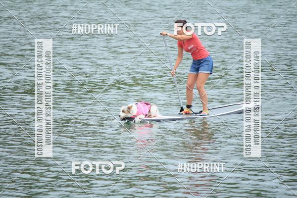 Compra tus fotos del eventoKaluan� Trail e Canicross - Irisphoto En Fotop