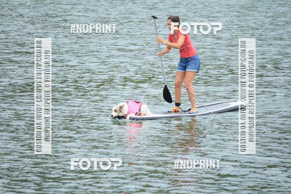 Compra tus fotos del eventoKaluan� Trail e Canicross - Irisphoto En Fotop