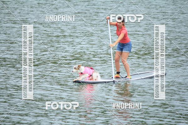 Compra tus fotos del eventoKaluan� Trail e Canicross - Irisphoto En Fotop