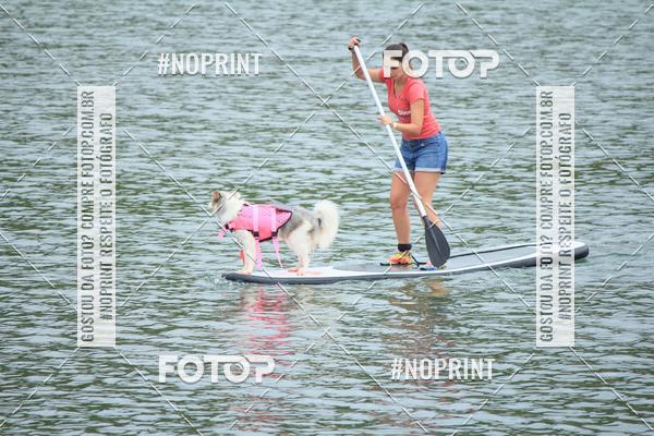 Compra tus fotos del eventoKaluan� Trail e Canicross - Irisphoto En Fotop