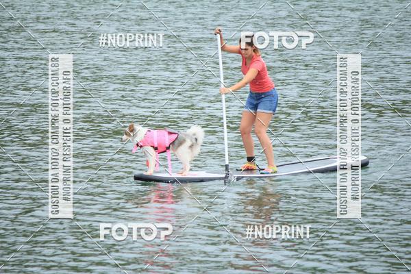 Compra tus fotos del eventoKaluan� Trail e Canicross - Irisphoto En Fotop