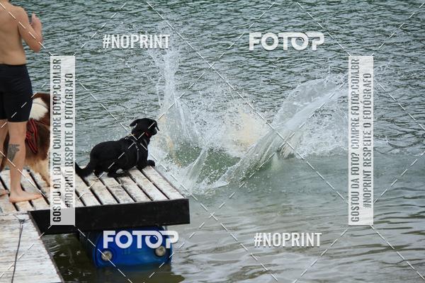 Compra tus fotos del eventoKaluan� Trail e Canicross - Irisphoto En Fotop