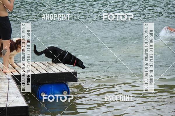 Compra tus fotos del eventoKaluan� Trail e Canicross - Irisphoto En Fotop