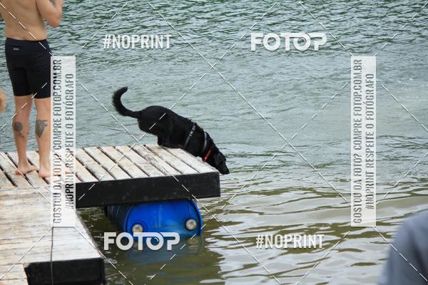 Compra tus fotos del eventoKaluan� Trail e Canicross - Irisphoto En Fotop