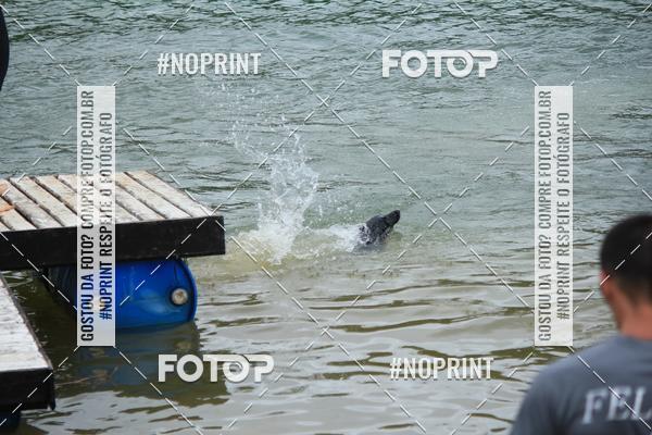 Compra tus fotos del eventoKaluan� Trail e Canicross - Irisphoto En Fotop