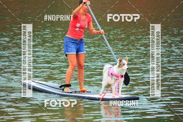 Compra tus fotos del eventoKaluan� Trail e Canicross - Irisphoto En Fotop