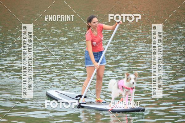 Compra tus fotos del eventoKaluan� Trail e Canicross - Irisphoto En Fotop