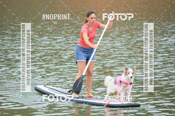 Compra tus fotos del eventoKaluan� Trail e Canicross - Irisphoto En Fotop