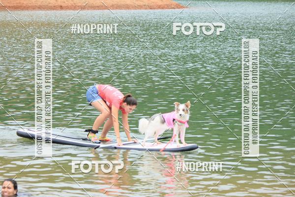 Compra tus fotos del eventoKaluan� Trail e Canicross - Irisphoto En Fotop