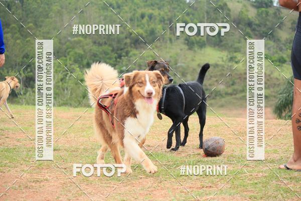 Compra tus fotos del eventoKaluan� Trail e Canicross - Irisphoto En Fotop