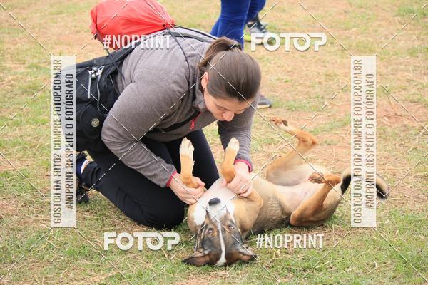 Compra tus fotos del eventoKaluan� Trail e Canicross - Irisphoto En Fotop