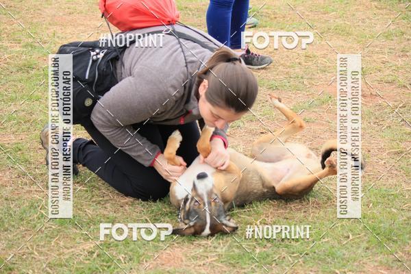 Compra tus fotos del eventoKaluan� Trail e Canicross - Irisphoto En Fotop