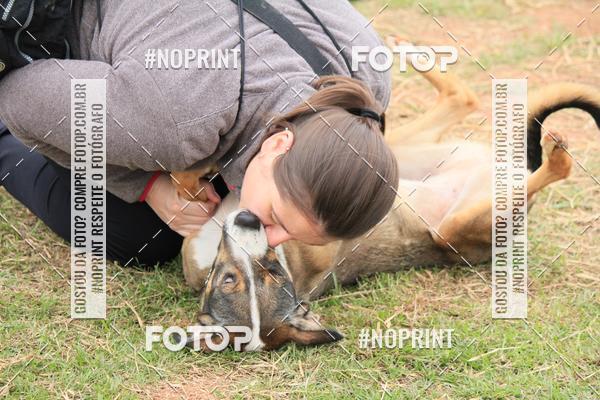 Compra tus fotos del eventoKaluan� Trail e Canicross - Irisphoto En Fotop