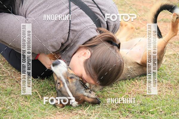 Compra tus fotos del eventoKaluan� Trail e Canicross - Irisphoto En Fotop