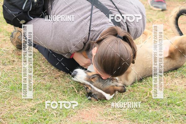 Compra tus fotos del eventoKaluan� Trail e Canicross - Irisphoto En Fotop