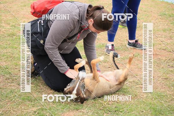 Compra tus fotos del eventoKaluan� Trail e Canicross - Irisphoto En Fotop