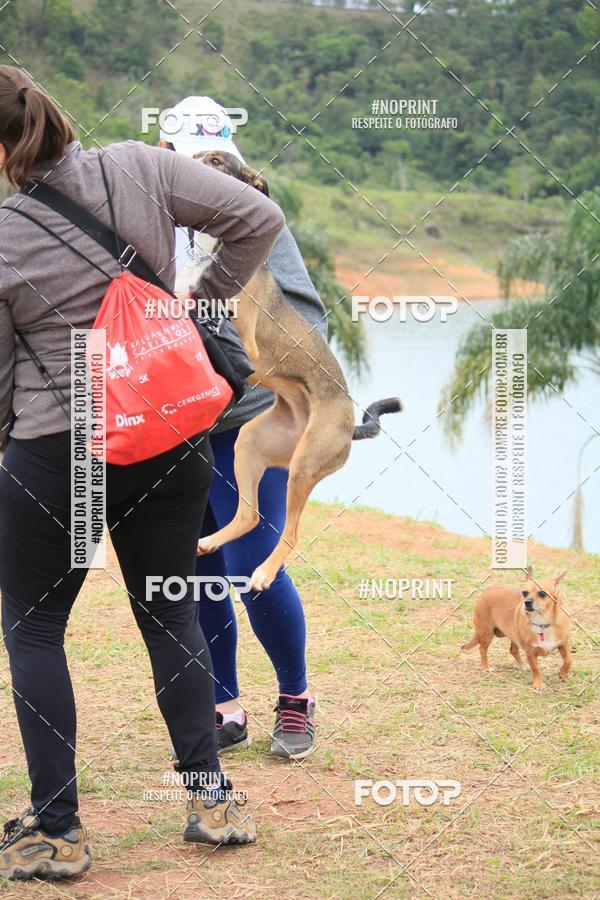 Buy your photos of the eventKaluan� Trail e Canicross - Irisphoto on Fotop