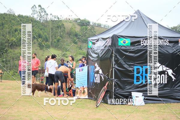 Buy your photos of the eventKaluan� Trail e Canicross - Irisphoto on Fotop