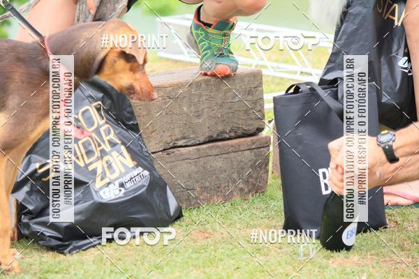 Buy your photos of the eventKaluan� Trail e Canicross - Irisphoto on Fotop