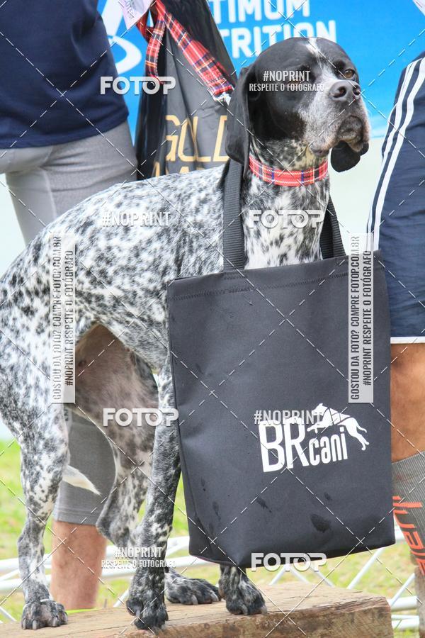 Buy your photos of the eventKaluan� Trail e Canicross - Irisphoto on Fotop