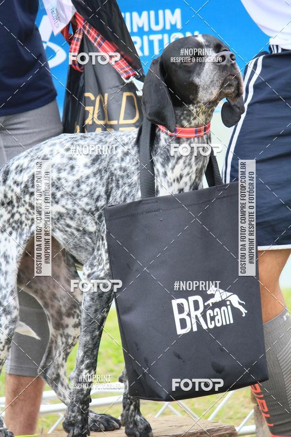 Buy your photos of the eventKaluan� Trail e Canicross - Irisphoto on Fotop