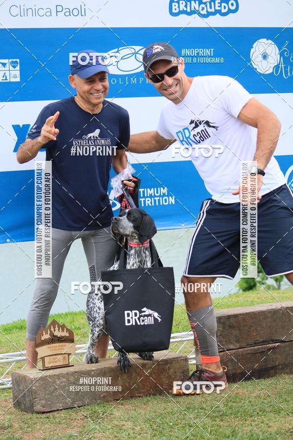 Buy your photos of the eventKaluan� Trail e Canicross - Irisphoto on Fotop