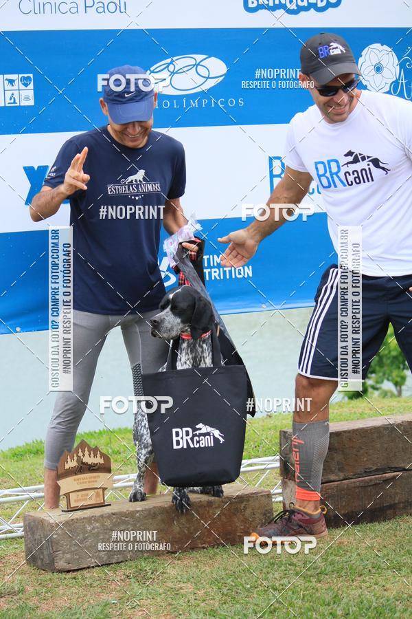 Buy your photos of the eventKaluan� Trail e Canicross - Irisphoto on Fotop