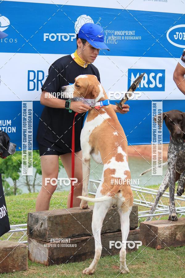 Buy your photos of the eventKaluan� Trail e Canicross - Irisphoto on Fotop