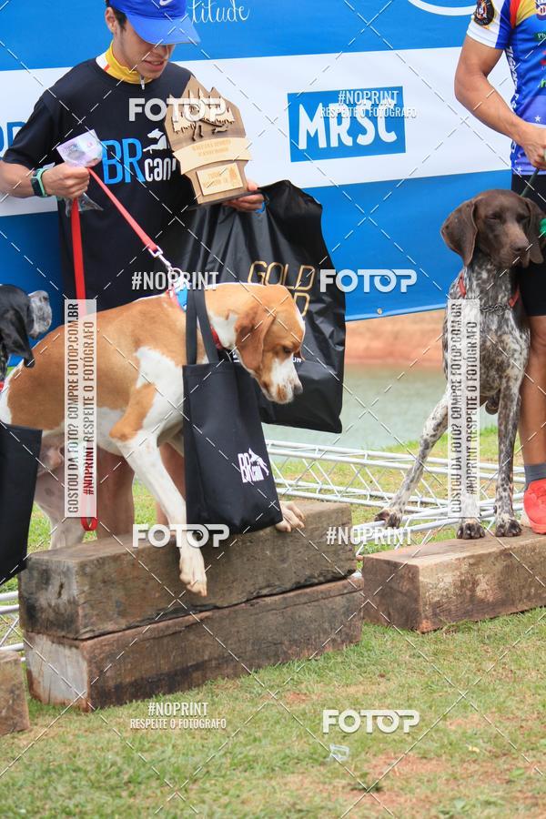 Buy your photos of the eventKaluan� Trail e Canicross - Irisphoto on Fotop