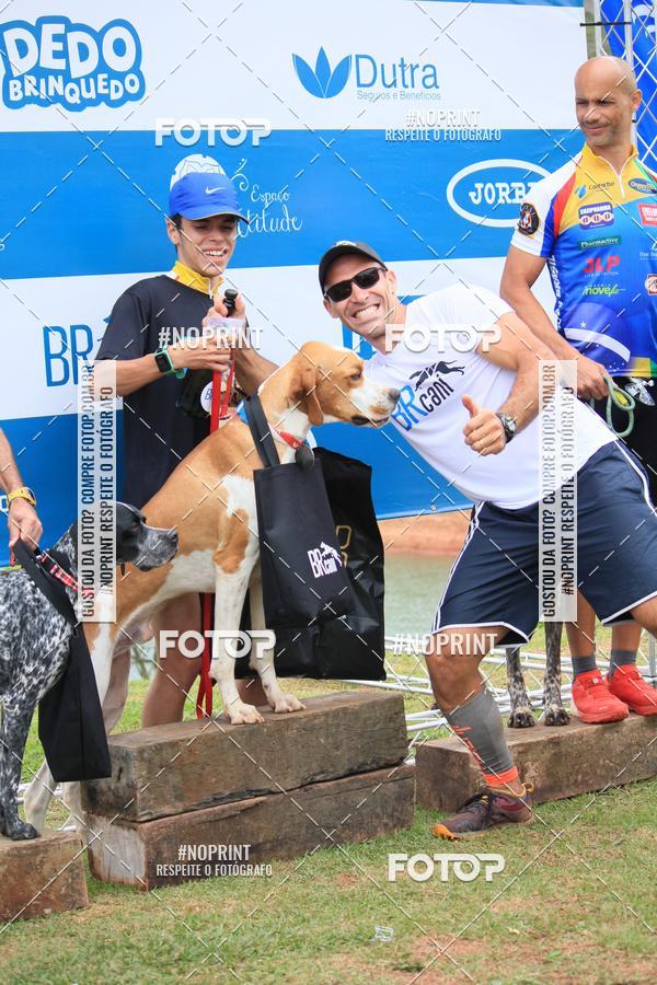 Buy your photos of the eventKaluan� Trail e Canicross - Irisphoto on Fotop