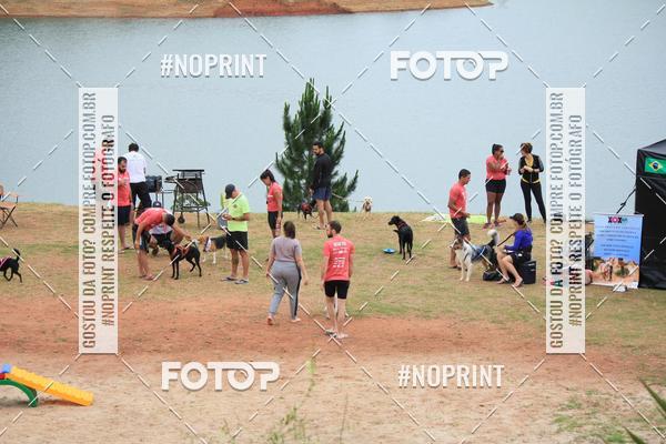 Buy your photos of the eventKaluan� Trail e Canicross - Irisphoto on Fotop