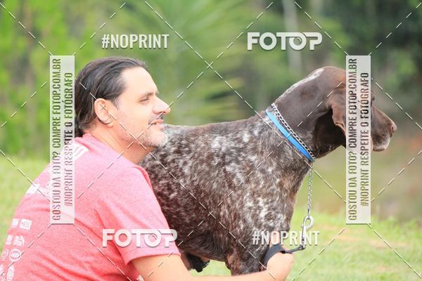 Buy your photos of the eventKaluan� Trail e Canicross - Irisphoto on Fotop